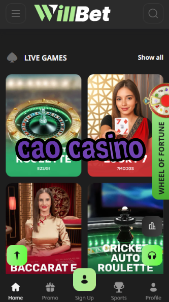 CAO Casino - Premium Live Dealer Games-www302.ydblkf.net