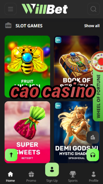 CAO Casino - Premium Live Dealer Games-www302.ydblkf.net